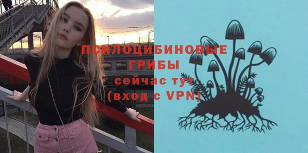 мдпв Майский