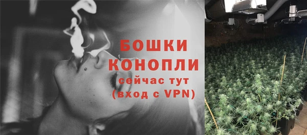 молекула духа Магас