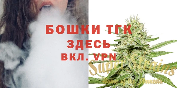 молекула духа Магас
