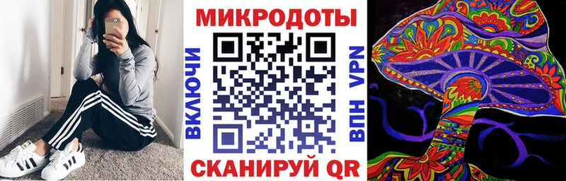 Купить закладки  Гвардейск  Галлюциногенные грибы Psilocybe 